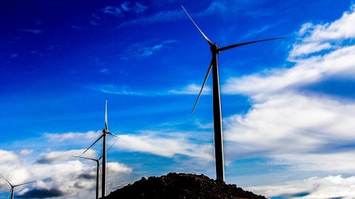 Eventos da CONAMP recebem selo de carbono neutro e reforçam compromisso com a sustentabilidade