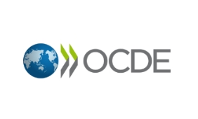 GT da OCDE publica advertência quanto aos riscos da proposta que pune juízes e membros do MP